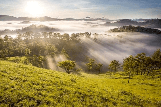 Breath-taking scene in Da Lat - Pinterest